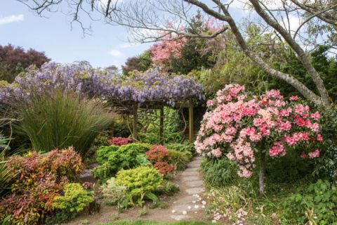 Pūkaha Fundraiser - Wairarapa Garden Tour 9 & 10 Nov